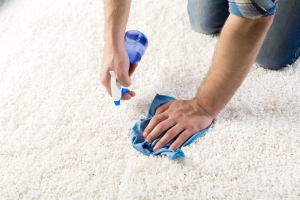 Queen Creek Carpet Cleaners - Hire a Queen Creek Carpet Cleaning Company to Steam Clean your Queen Creek Carpets!